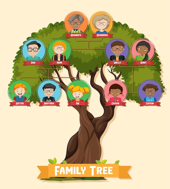 Vettore diagramma che mostra un albero genealogico di tre generazioni