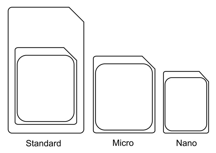 Vector a diagram of the standard and micro components