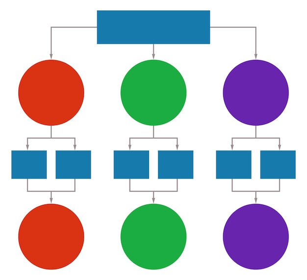 Vettore modello di diagramma disposizione della struttura dei colori flusso aziendale