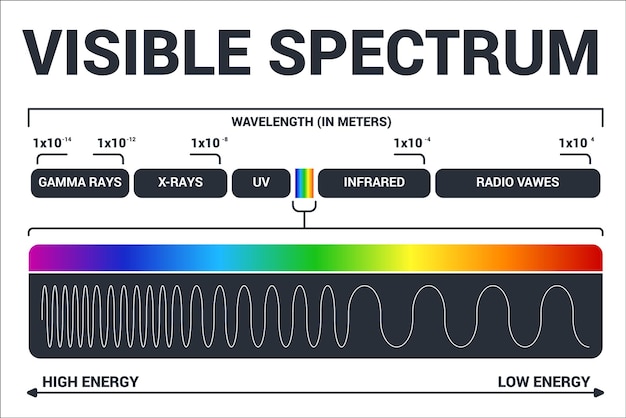 Vector diagram van zichtbaar licht kleur elektromagnetisch spectrum lichtgolffrequentie educatieve schoolfysica