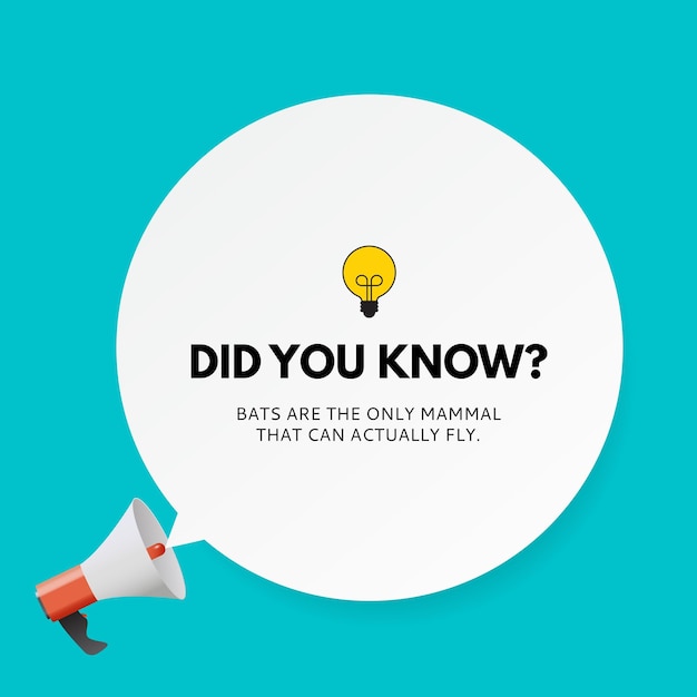 Did you know interesting fact Vector Illustration