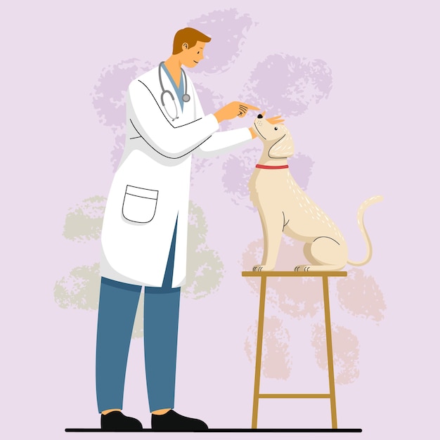Dierarts die een hond een traktatie geeft