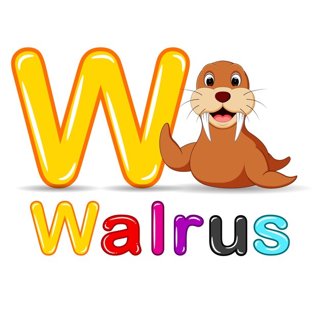 Dieren alfabet: w is voor walrus