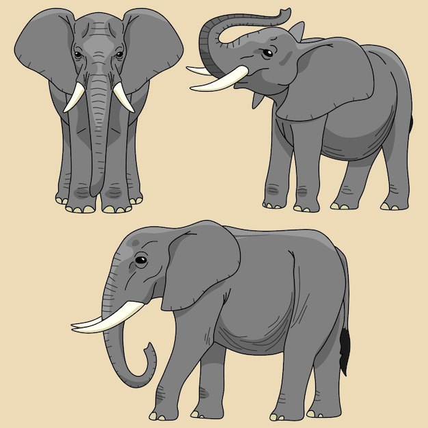 dieren illustratie, set olifanten vectortekeningen