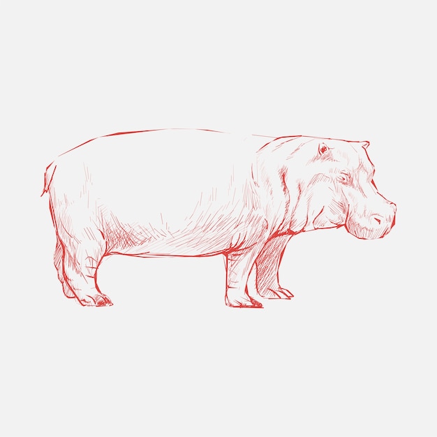 Dieren Illustratie van nijlpaard