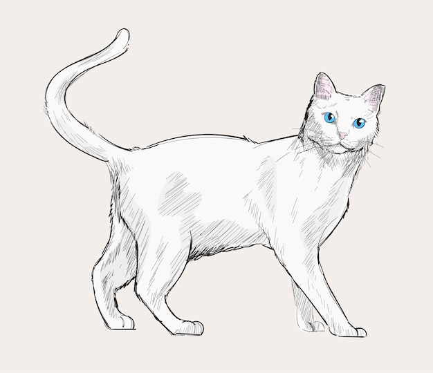 Dieren Illustratie Vector Art Set