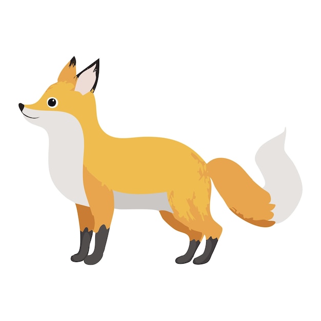 Dieren Illustraties Leuke en grappige Dieren illustraties Dieren illustratie Handgemaakt