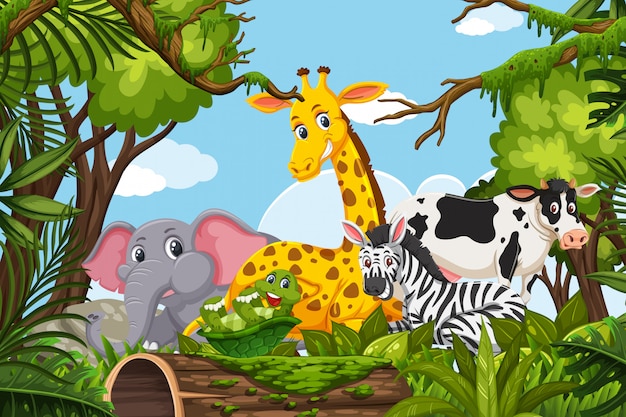 Dieren in jungle scene