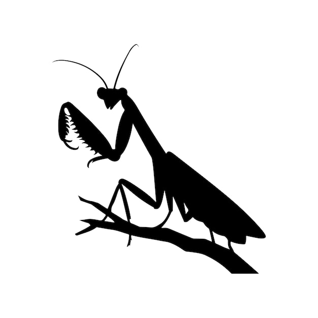 dieren mantis zwarte silhouet vector kunst vlak ontwerp omtrek illustraties