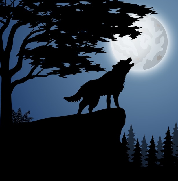 Vector dieren silhouet in het bos bij nacht