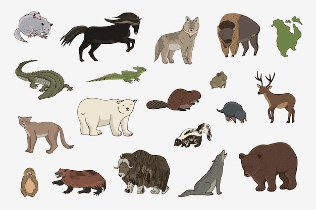 Dieren van Noord-Amerika vector illustraties set