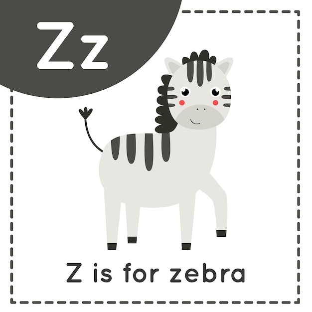 Vector dierenalfabet flashcard voor kinderen. leren letter z. z is zebra.