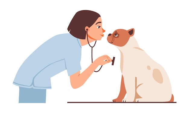Dierenarts onderzoekt een hond Dierenverzorging medische controles en dierenwelzijn