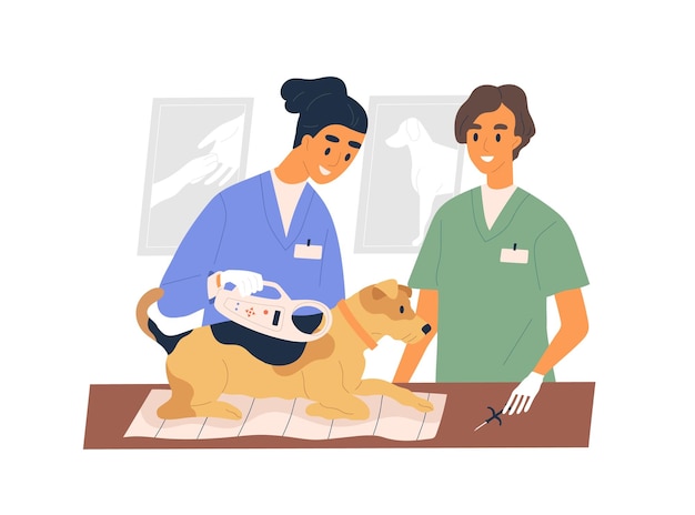 Dierenartsen implanteren elektronische microchip in hond. Dierenartsen controleren op microchip onder de huid van huisdier met scannertool. Gekleurde platte vectorillustratie geïsoleerd op een witte achtergrond.