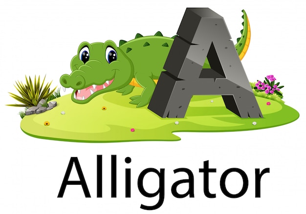 Dierentui alfabet a voor alligator met het dier naast