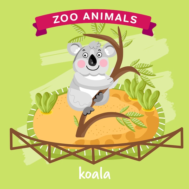 Dierentuindier, Koala