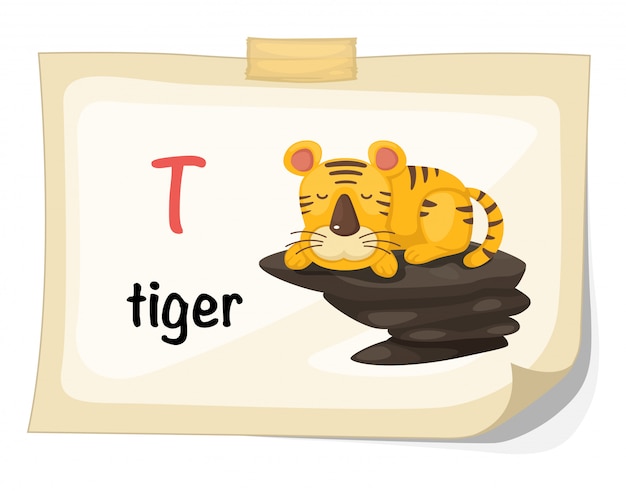 Dierlijke alfabet letter t voor tijger illustratie vector