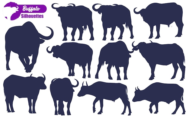 Dierlijke Buffalo silhouetten vectorillustratie