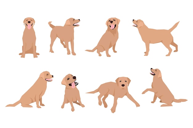 Dierlijke hond labrador karakter pictogrammenset in vlakke stijl. ontwerpsjabloon. eps10 illustratie.