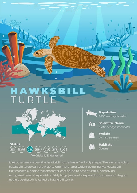 Vector dierlijke infographic-serie - karetschildpad