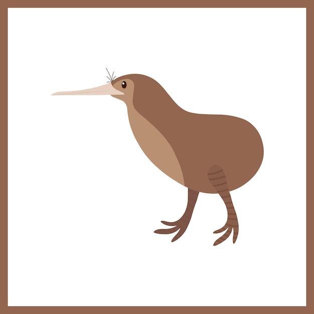 Dierlijke kiwi-vector