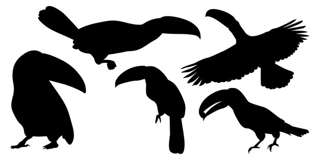Dierlijke vogel Toucan silhouetten vector illustratie