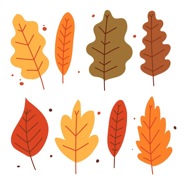 Vector diferent leaves autumn