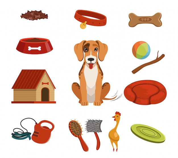 Different accessories for domestic pet. dog in house. vector illustrations set.