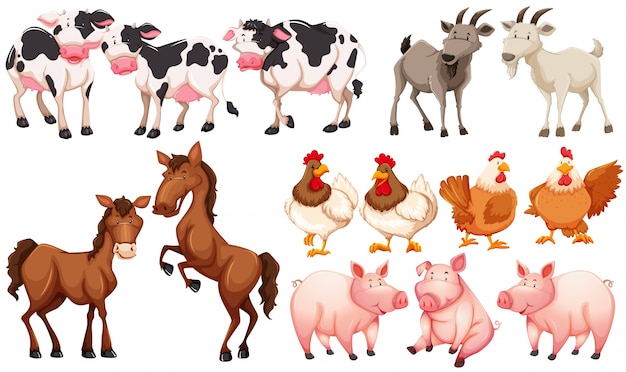 Different animals in the farm illustration