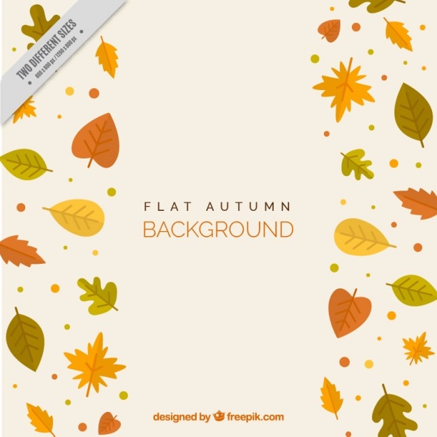 Different autumn leaves, background