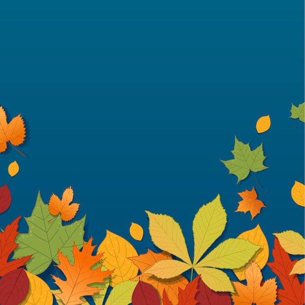 Different autumn leaves on blue background