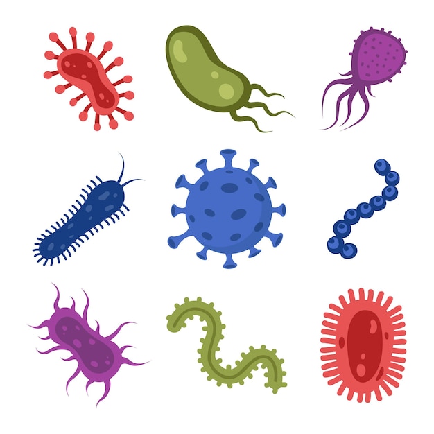 다양한 박테리아 병원성 미생물 세트 박테리아와 세균 미생물