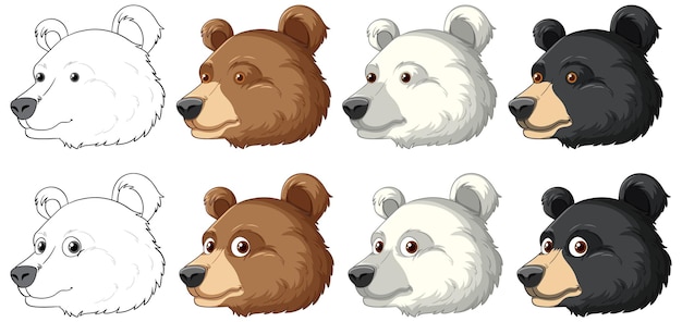 Different Bear Species