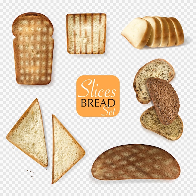 Vector different bread slices transparent set