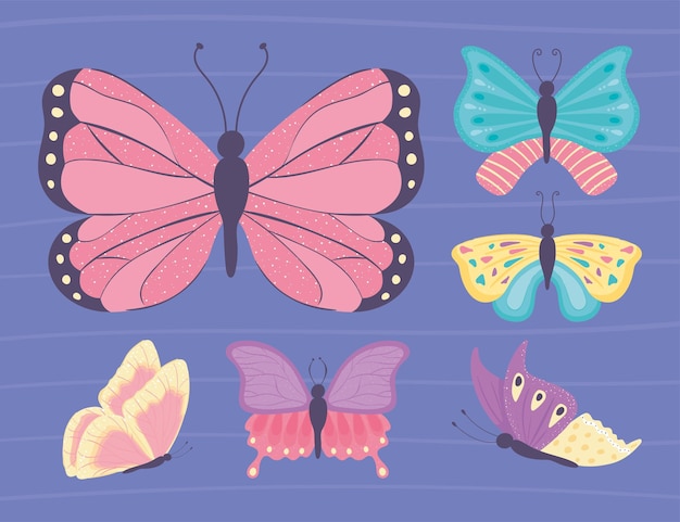 Different butterfly set