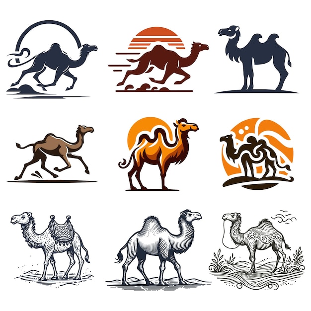 Vector different camel logo style on a white background