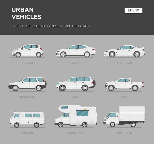 Vector different cars over grey background