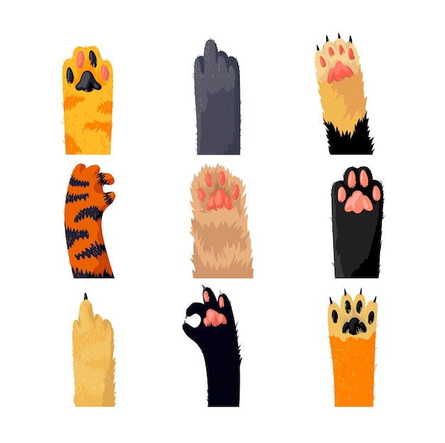 Different cat paws set