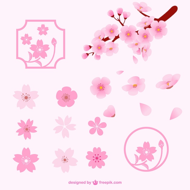 Vector different cherry blossom flowers