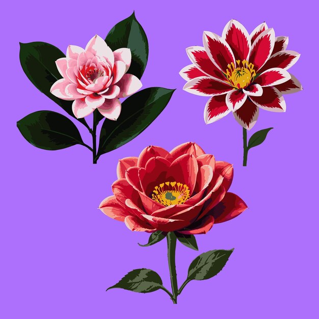 Vector different color flowers valentines day