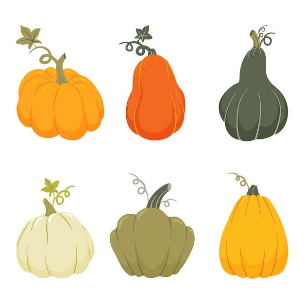 Different color and size pumpkins collection Harvest flat elements set