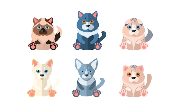 Different cute cats set cartoon animals pets sitting vector illustration isolated on a white background