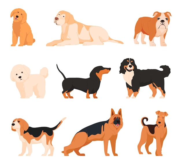 Vector different dogs in cartoon style large and small pets of various breeds fourlegged friends defenders