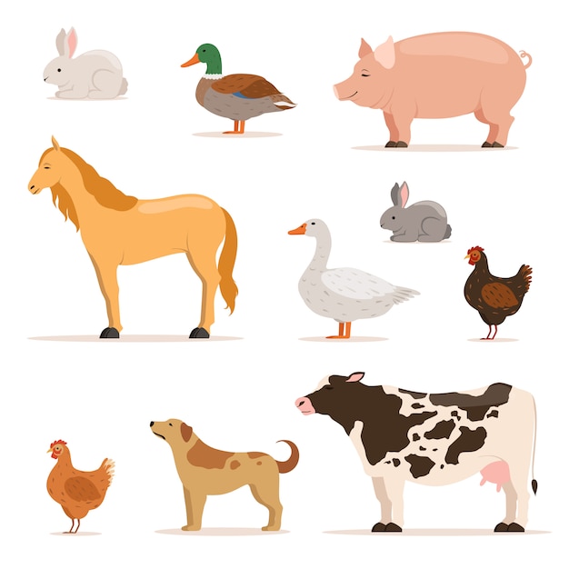 Vector different domestic animals on farm