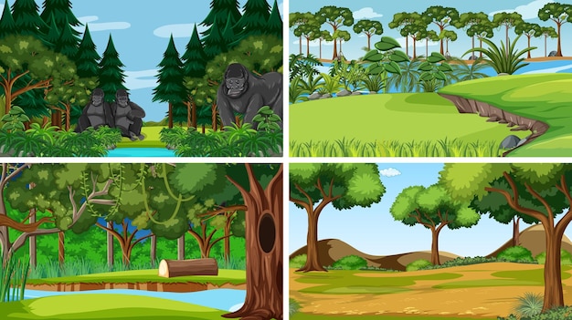 Different empty forest scenes