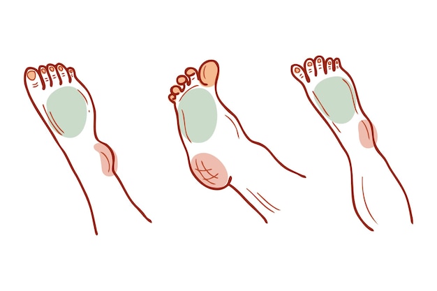 Vettore collezione di parti del corpo di piedi e gambe diverse cura della pelle, benessere e concetto podologico illustrazione vettoriale isolata