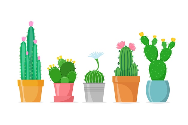 Set di cactus fioriti diversi in uno stile piatto