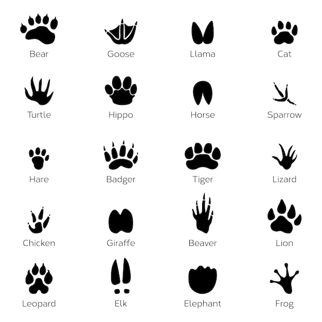 Different footprints of birds and animals. vector monochrome pictures on white background