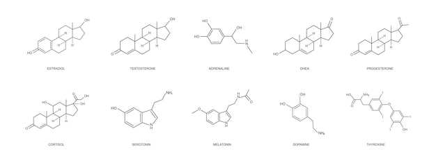 Vettore differenti ormoni icone set estradiolo progesterone testosterone adrenalina dhea cortizolo dopamina serotonina melatonina tiroxina struttura molecolare chimica