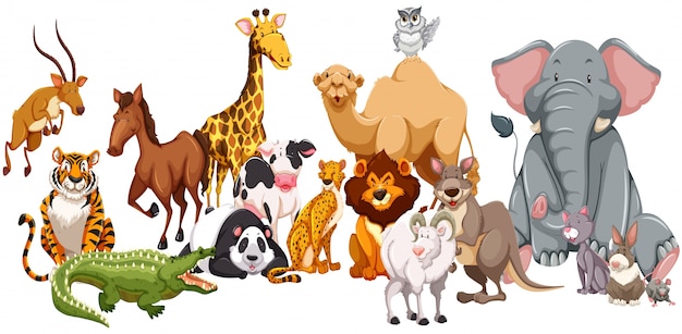 Vector different kind of wild animals